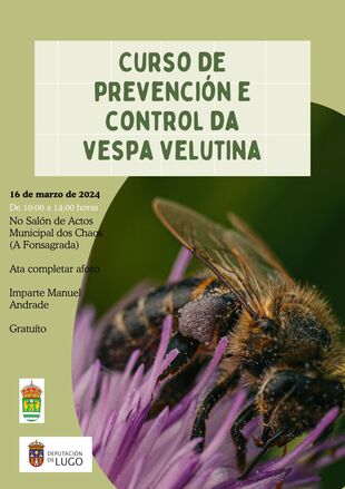Curso de prevención y control de la avispa velutina el sábado, 16 de marzo de 2024 